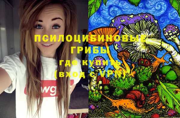 a pvp Юрга