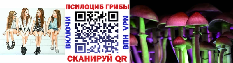 Псилоцибиновые грибы мицелий  наркотики  Лихославль 